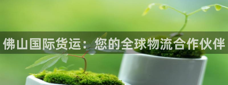 尊龙凯时产品系列：佛山国际货运：您的全球物流合作伙伴