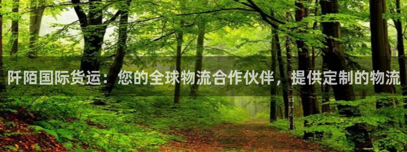 尊龙凯时下载人生就是博：阡陌国际货运：您的全球物流合作伙