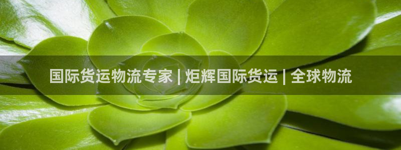 Z6尊龙官网入口：国际货运物流专家 | 炬辉国际货运 |