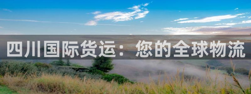 尊龙凯时平台信誉怎样：四川国际货运：您的全球物流