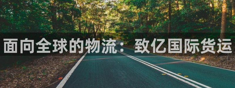 尊龙客服：面向全球的物流：致亿国际货运