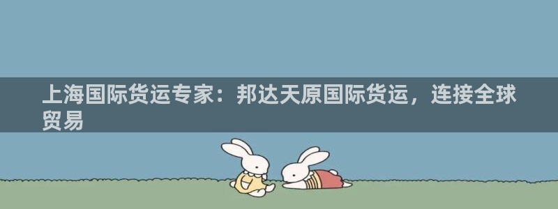 尊龙AG旗舰厅官网：上海国际货运专家：邦达天原国际货运，