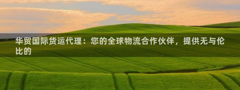 尊龙凯时人生就是搏z6com：华贸国际货运代理：您的全球