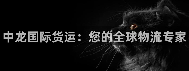 尊龙人生手机版都去ag发财网：中龙国际货运：您的全球物流