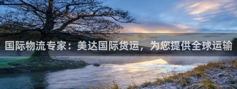 尊龙ag旗舰厅官网·(中国)官方入口：国际物流专家：美达