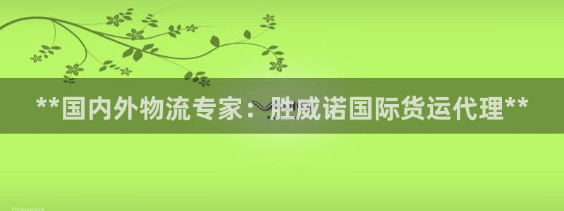 尊龙凯时出款：**国内外物流专家：胜威诺国际货运代理**