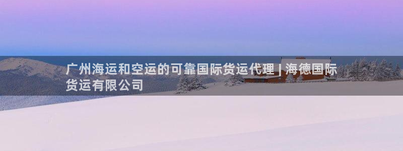 尊龙 中国：广州海运和空运的可靠国际货运代理 | 海德国