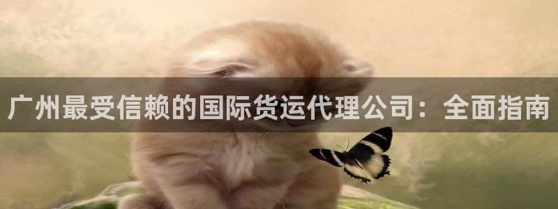 尊龙z6网址：广州最受信赖的国际货运代理公司：全面指南