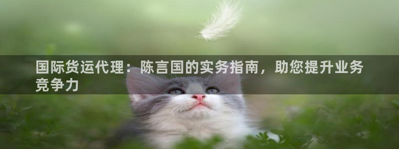 尊龙凯时取款一直支付中：国际货运代理：陈言国的实务指南，