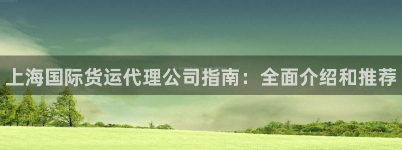 尊龙集团有限公司：上海国际货运代理公司指南：全面介绍和推
