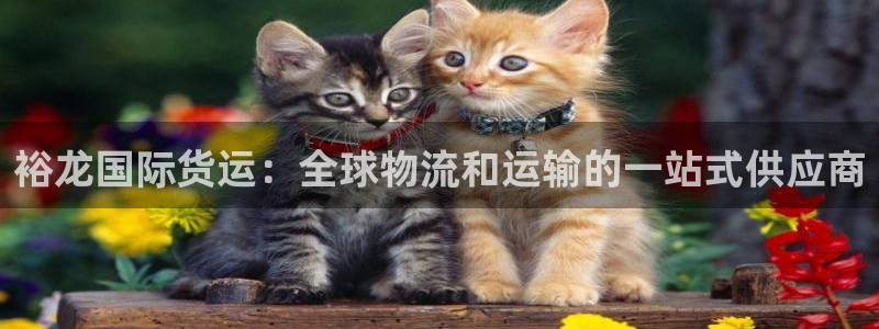 尊龙人生就是博一下阿扎尔：裕龙国际货运：全球物流和运输的