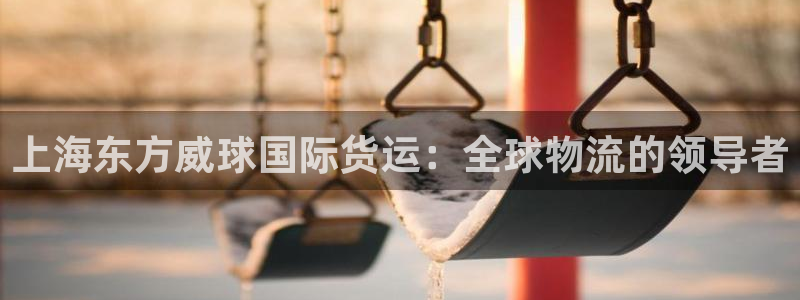 尊龙凯时链接：上海东方威球国际货运：全球物流的领导者