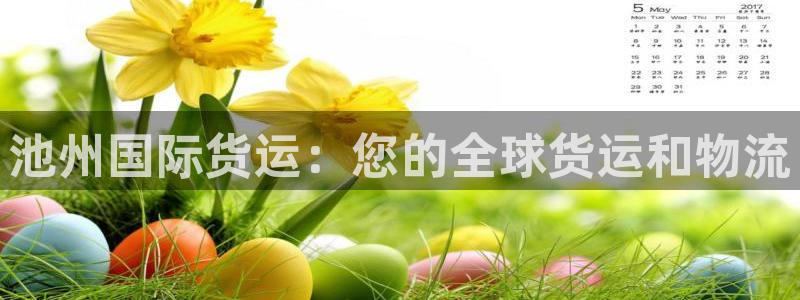 尊龙凯时人生就是搏官方网站：池州国际货运：您的全球货运和