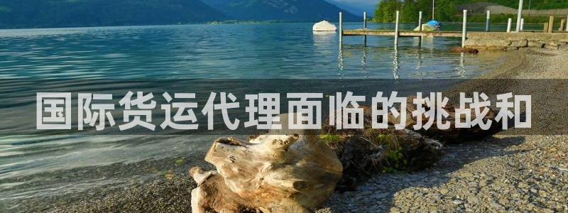 尊龙凯时app官方网站：国际货运代理面临的挑战和
