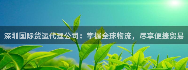 尊龙凯时游戏厅：深圳国际货运代理公司：掌握全球物流，尽享