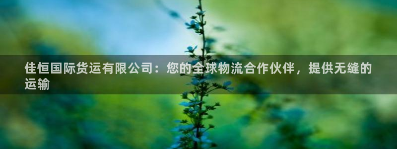 尊龙2020：佳恒国际货运有限公司：您的全球物流合作伙伴