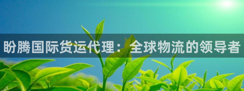 尊龙王t400：盼腾国际货运代理：全球物流的领导者
