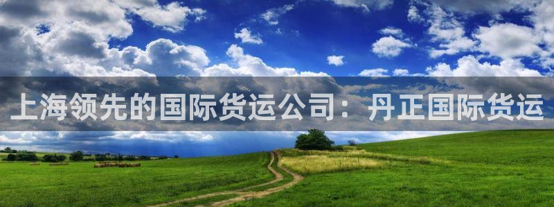 尊龙凯时 - 人生就是搏!：上海领先的国际货运公司：丹正