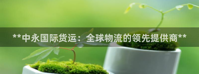 尊龙凯时泰安：**中永国际货运：全球物流的领先提供商**