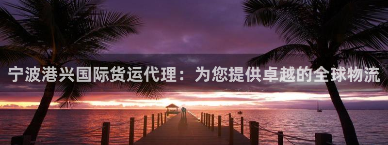 尊龙棋牌老板是谁：宁波港兴国际货运代理：为您提供卓越的全