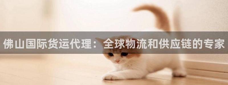 尊龙凯时网站不让提款：佛山国际货运代理：全球物流和供应链