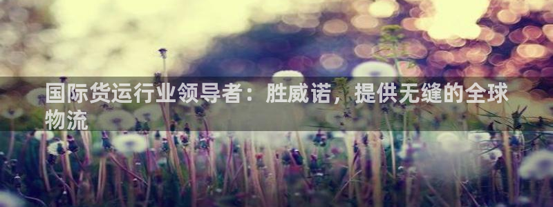 尊龙用现金一下可靠送38元：国际货运行业领导者：胜威诺，