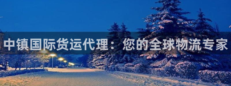 尊龙人生就是博d88官方网站：中镇国际货运代理：您的全球