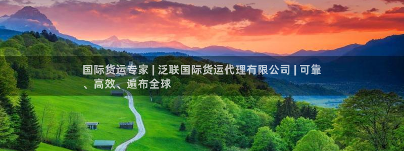 尊龙—人生就是博：国际货运专家 | 泛联国际货运代理有限