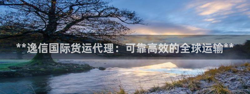 尊龙凯时怎么样没听说过：**逸信国际货运代理：可靠高效的