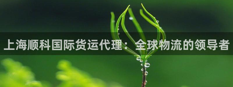 尊龙凯时能提现吗：上海顺科国际货运代理：全球物流的领导者