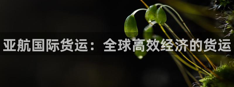 尊龙凯时线下赌场：亚航国际货运：全球高效经济的货运