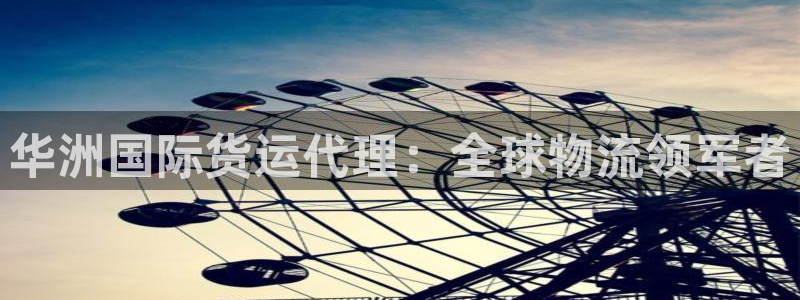 尊龙凯时是大平台吗：华洲国际货运代理：全球物流领军者