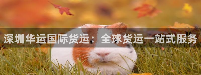 尊龙凯时防屏蔽网址：深圳华运国际货运：全球货运一站式服务