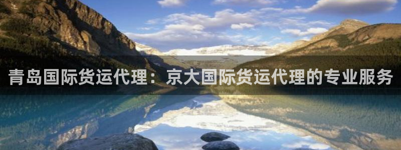 尊龙用现金一下可靠送38元：青岛国际货运代理：京大国际货