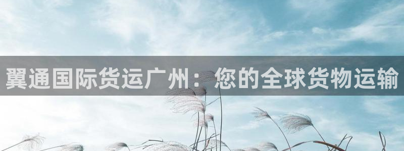 尊龙手机客户端下载：翼通国际货运广州：您的全球货物运输