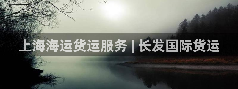 尊龙集团有限公司是国企吗：上海海运货运服务 | 长发国际