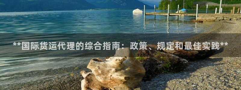 尊龙凯时始人生就是博：**国际货运代理的综合指南：政策、