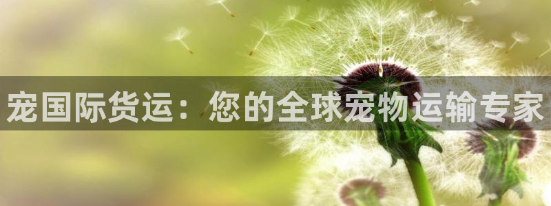 尊龙d88官网准认来就送38：宠国际货运：您的全球宠物运