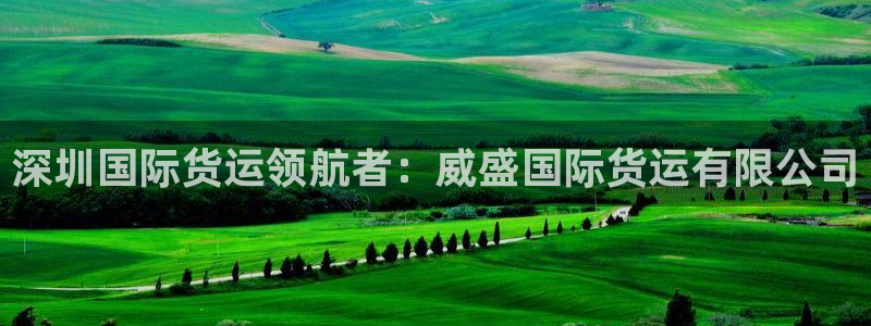 尊龙是什么软件：深圳国际货运领航者：威盛国际货运有限公司