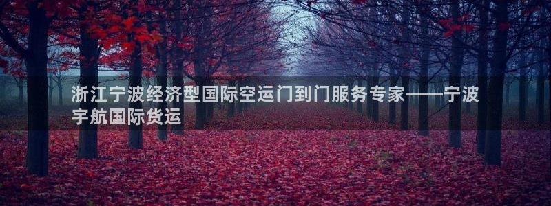 尊龙d88官网登录：浙江宁波经济型国际空运门到门服务专家