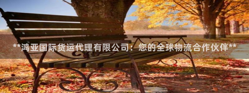 尊龙集团：**鸿亚国际货运代理有限公司：您的全球物流合作