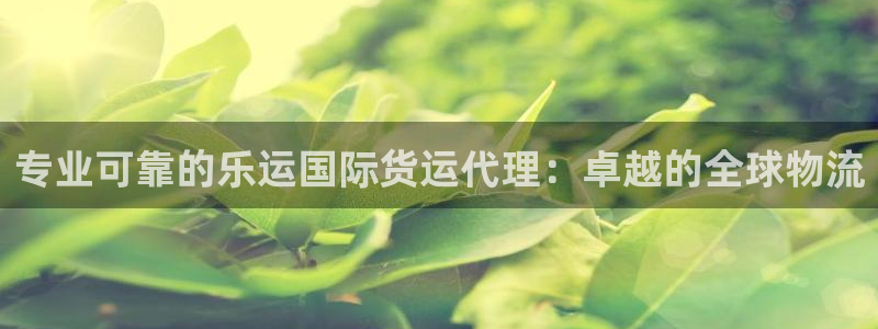 尊龙app怎么样：专业可靠的乐运国际货运代理：卓越的全球