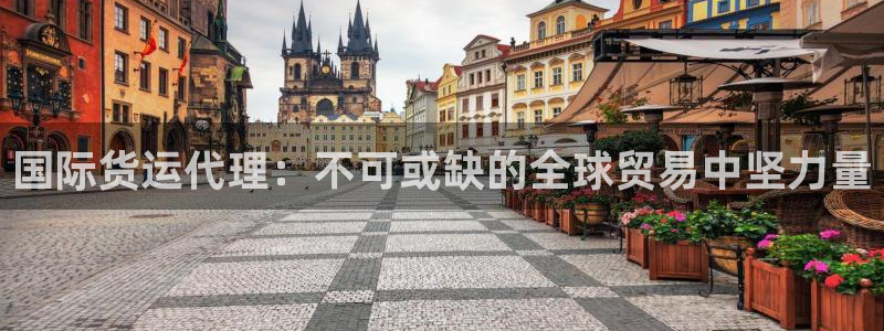 尊龙d88手机登录免费下载：国际货运代理：不可或缺的全球