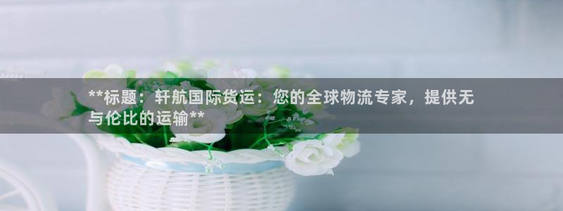 尊龙官网手机版下载：**标题：轩航国际货运：您的全球物流