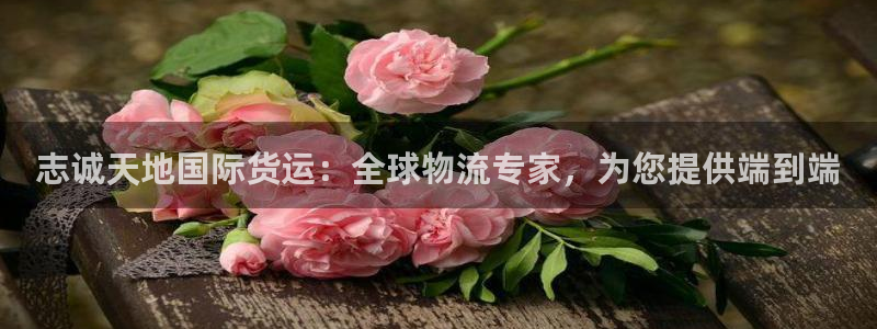 尊龙d88官网准认来就送38：志诚天地国际货运：全球物流
