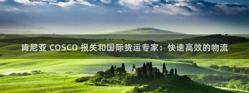 尊龙z6官网ag：肯尼亚 COSCO 报关和国际货运专家