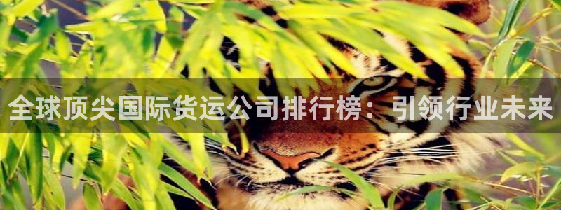 尊龙新版手机app下载：全球顶尖国际货运公司排行榜：引领