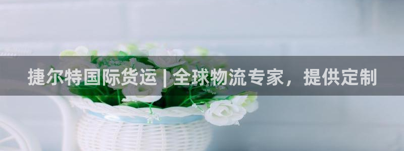 尊龙注册码：捷尔特国际货运 | 全球物流专家，提供定制