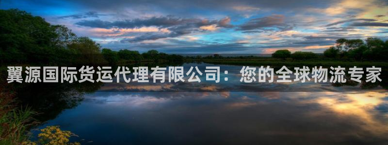 尊龙凯时提款一直审核中：翼源国际货运代理有限公司：您的全