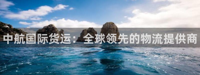 尊龙人生就是博登录准认来就送38：中航国际货运：全球领先